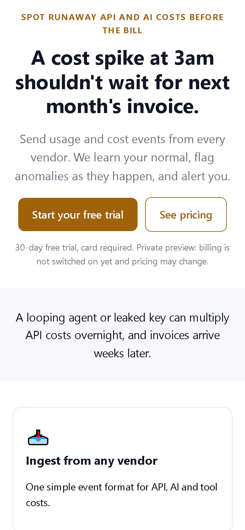 Cost Anomaly Meter landing page on a phone-sized screen